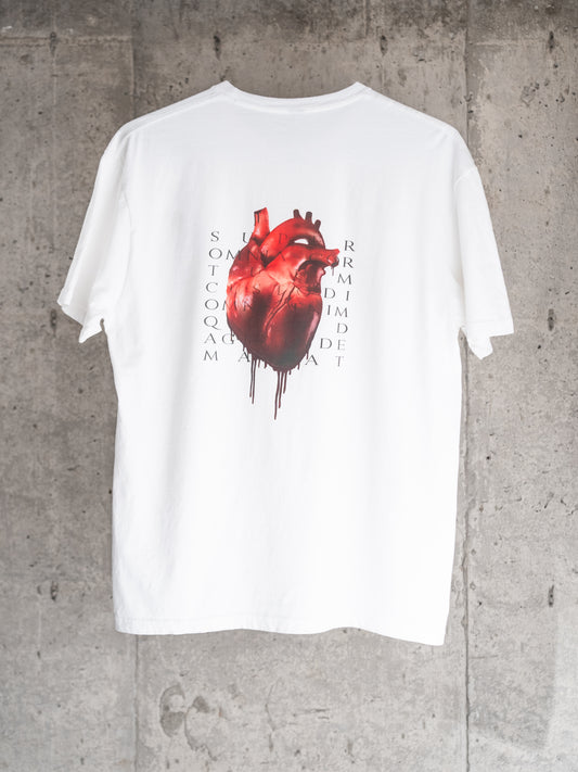 Guard Thy Heart Tee - Glacier