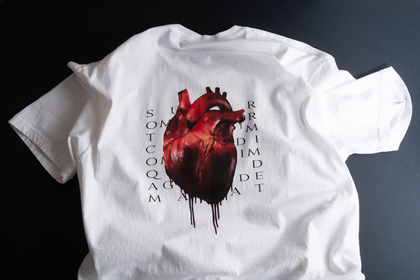 Guard Thy Heart Tee - Glacier